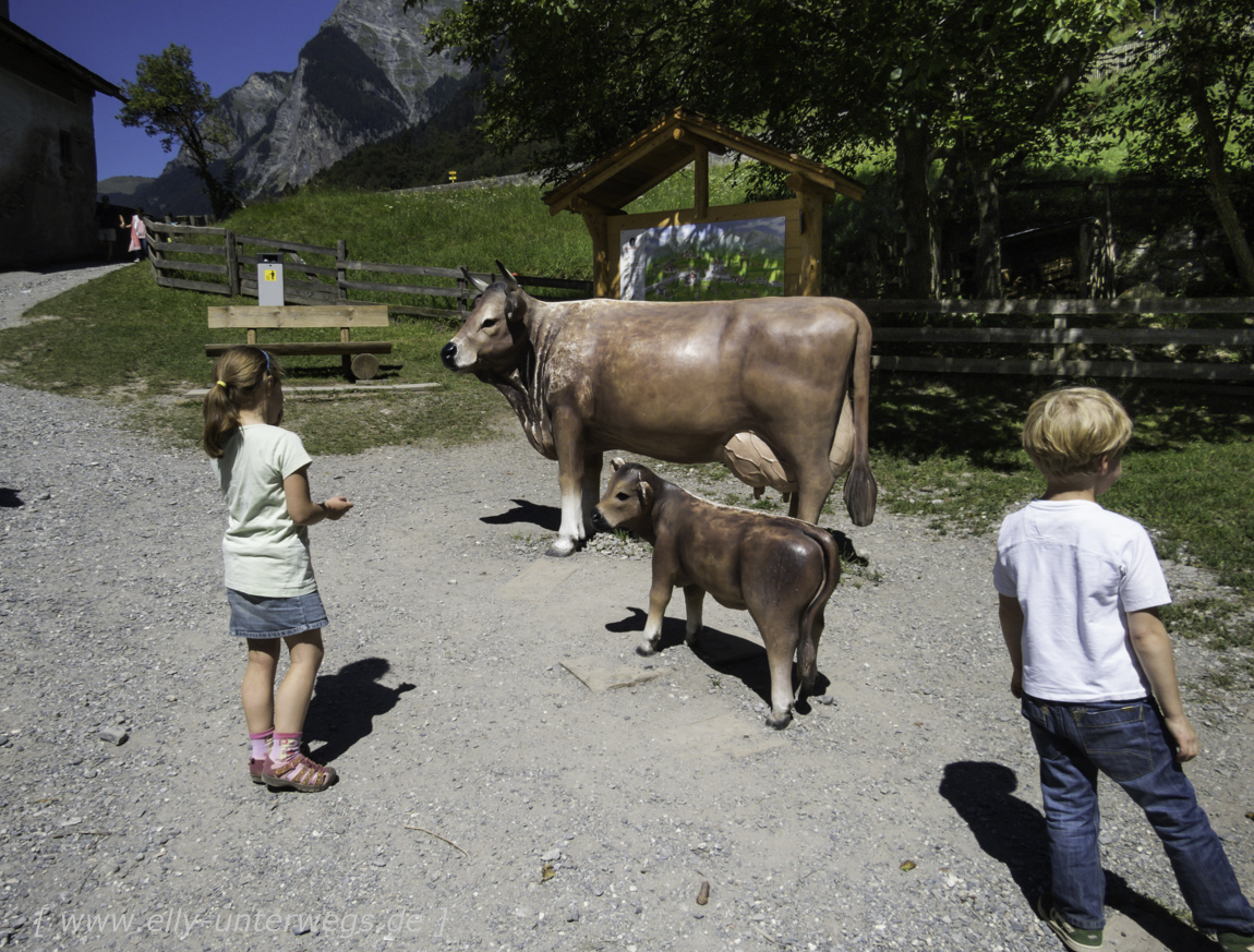 Schweiz-Heidiland-Walensee-IMG_0922IMG_0922-3.jpg