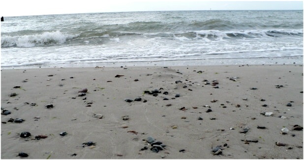 Blick auf die Ostsee auf der Insel Poel