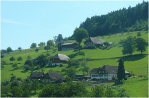Schwarzwald und Mainau 2010  (ARCHIV)