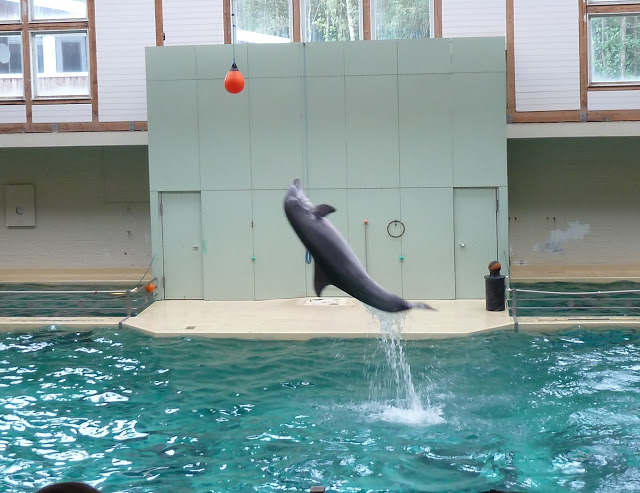 Allwetterzoo Münster