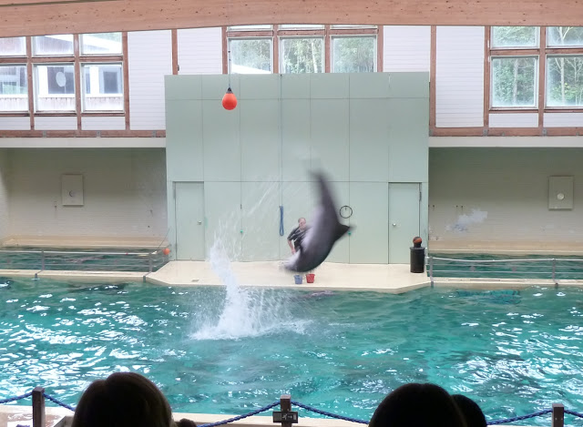 Allwetterzoo Münster