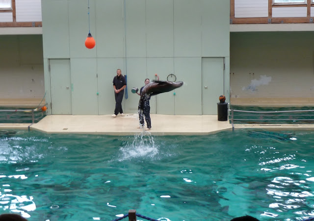 Allwetterzoo Münster