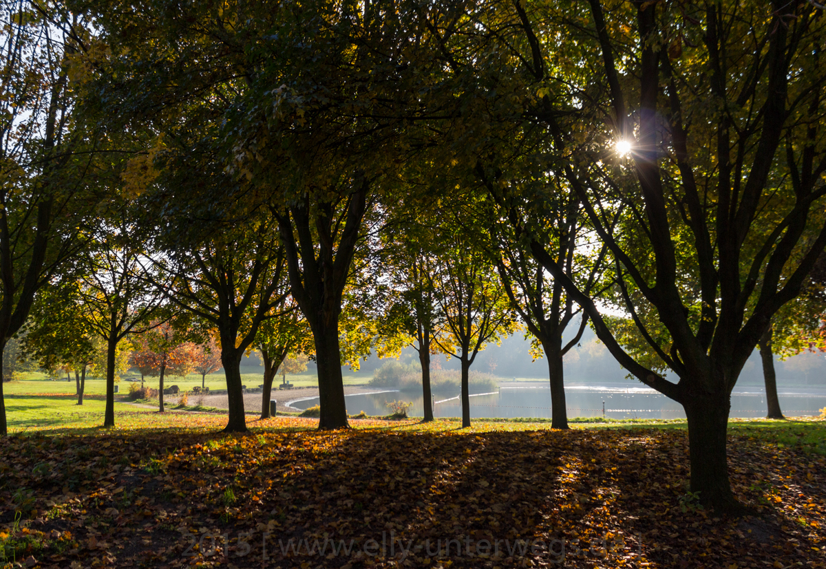 _MG_6922-2