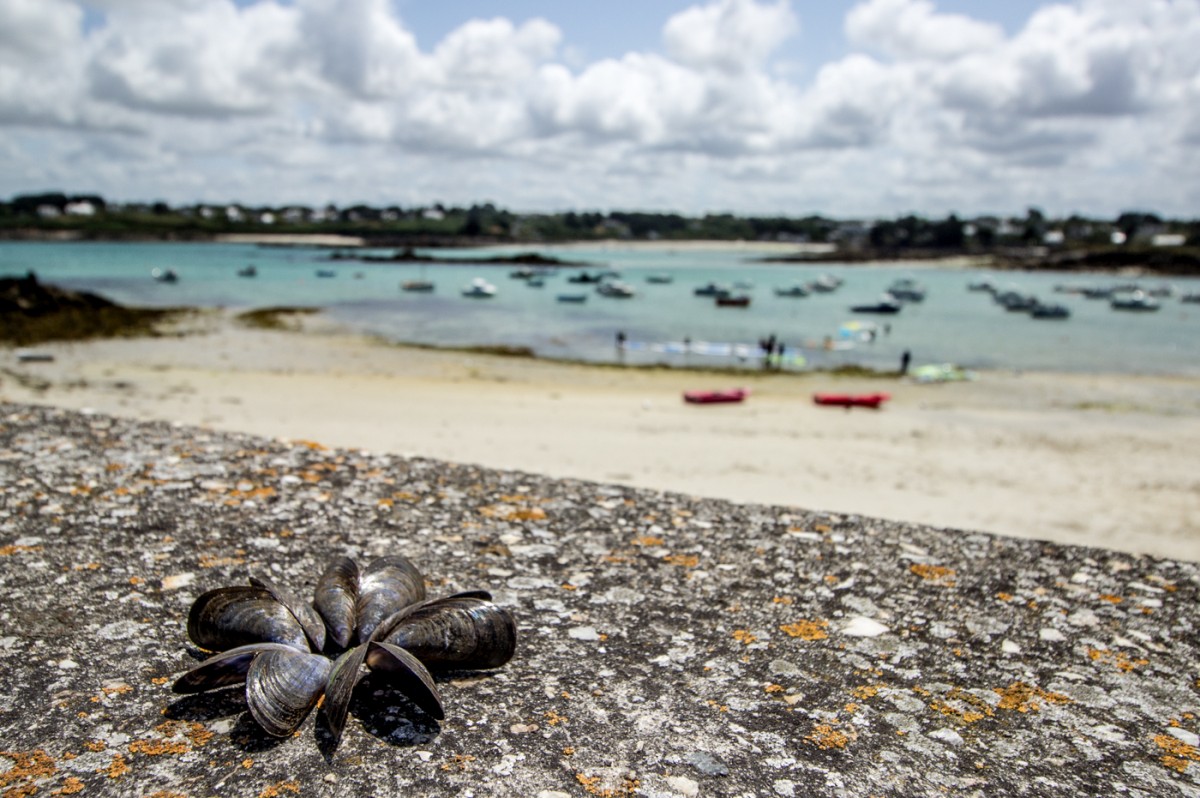 2015-07-Urlaub-Bretagne-BLOG (108)