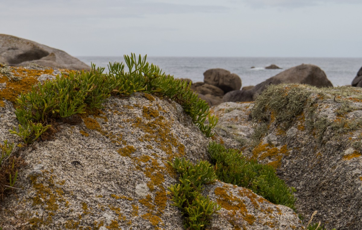 2015-07-Urlaub-Bretagne-BLOG (164)
