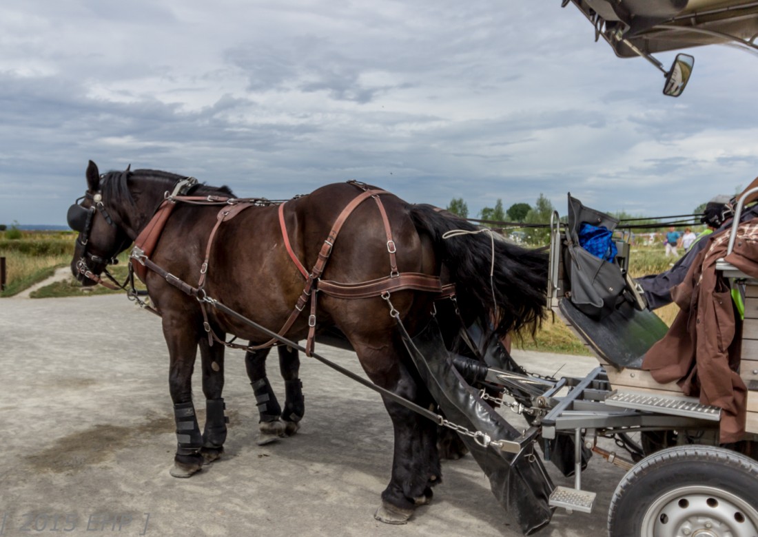 2015-07-Urlaub-Bretagne-BLOG (619)