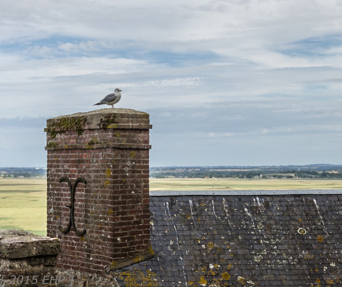 2015-07-Urlaub-Bretagne-BLOG (634)