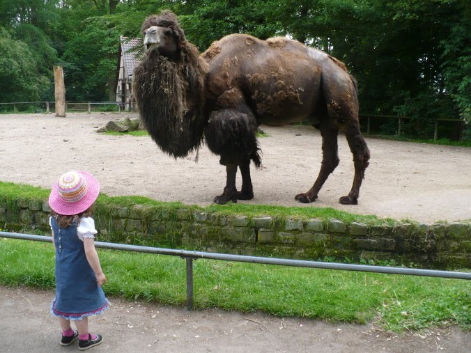 2010-06-06-zoo1