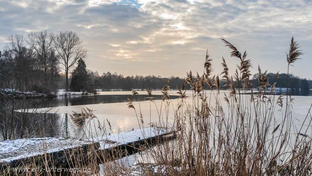 Winter-Muensterland (1 von 1)