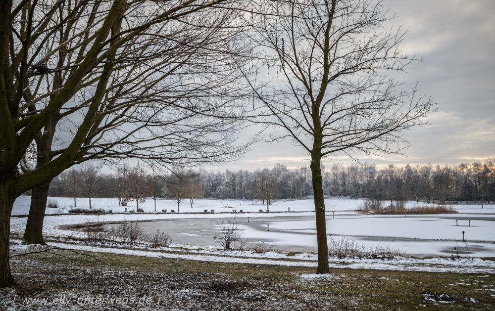 Winter-Muensterland (2 von 1)