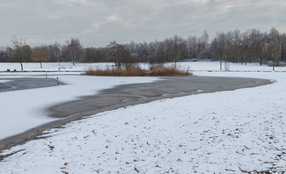 Winter-Muensterland (3 von 1)