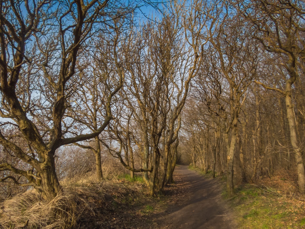 2016-Ostsee-Rerik-10