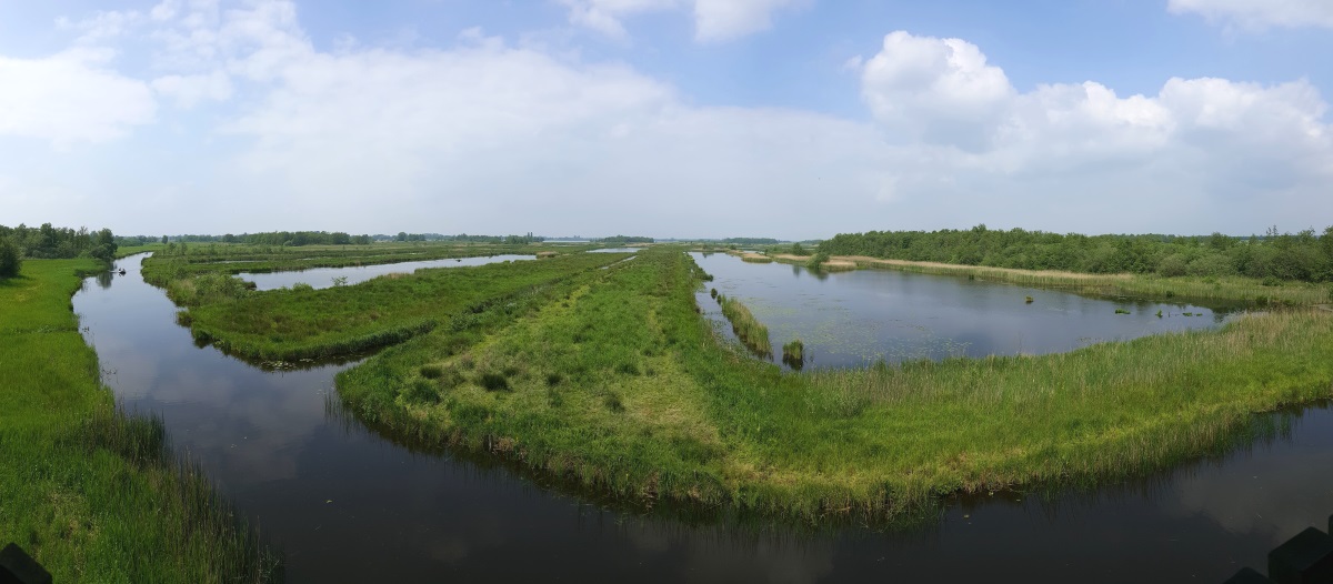 2016-05-Niederlande-Giethoorn-Tagesausflug-mit-Kinder 102