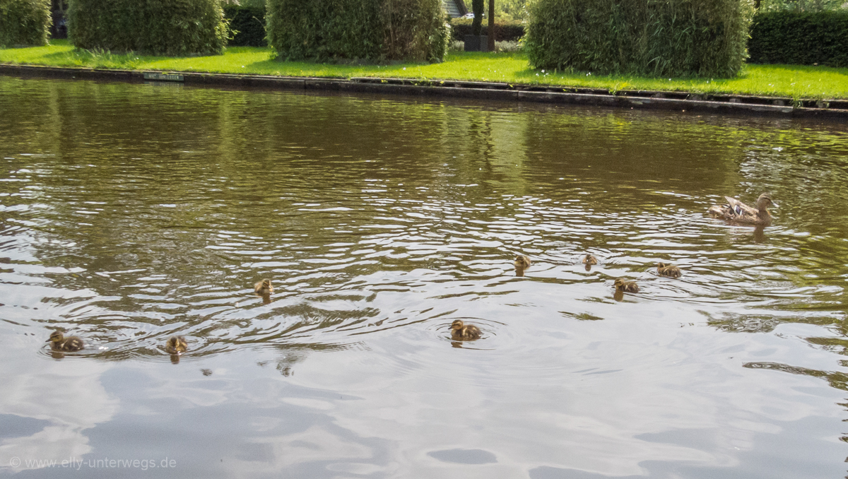 2016-05-Niederlande-Giethoorn-Tagesausflug-mit-Kinder (15)