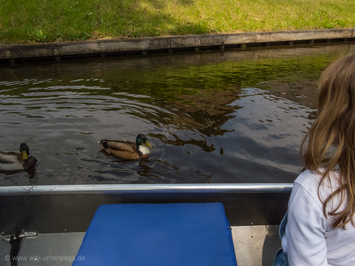 2016-05-Niederlande-Giethoorn-Tagesausflug-mit-Kinder (3)