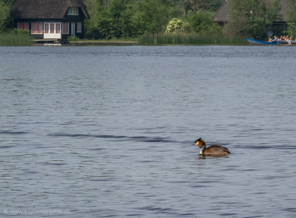 2016-05-Niederlande-Giethoorn-Tagesausflug-mit-Kinder (41)