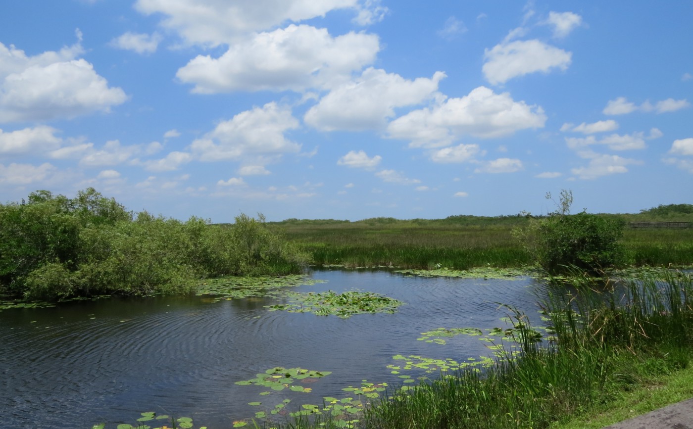 Die Everglades