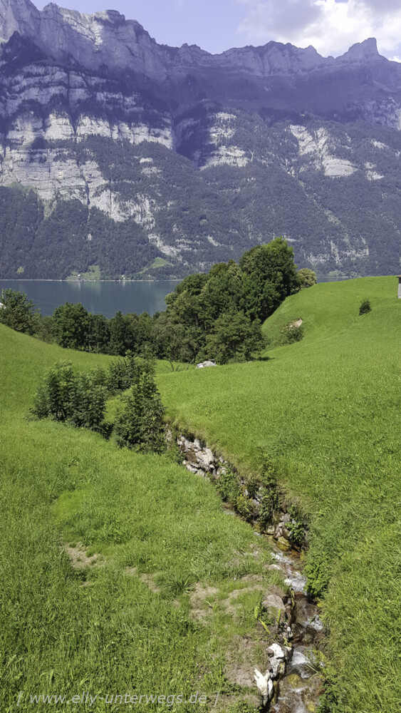 schweiz-heidiland-walensee-20160816_14325920160816_143259-3