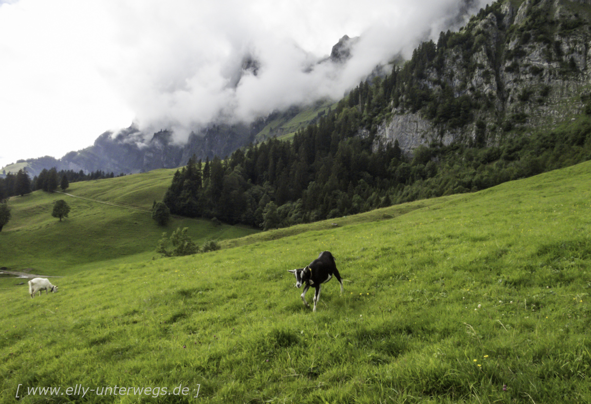 schweiz-heidiland-walensee-img_0666img_0666-3