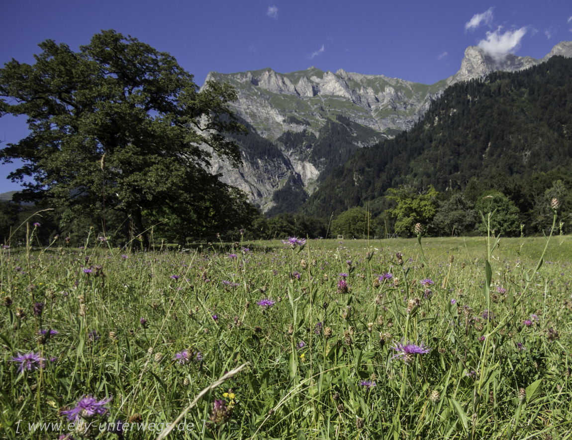 schweiz-heidiland-walensee-img_1049img_1049-3