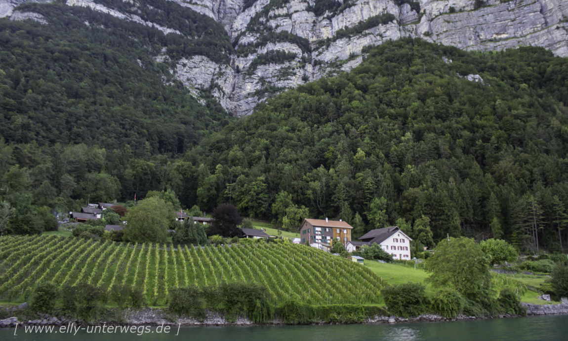 schweiz-heidiland-walensee-img_4001img_4001-3