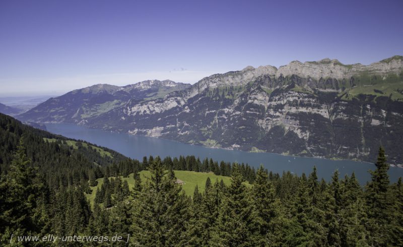 Schweiz – Region Heidiland