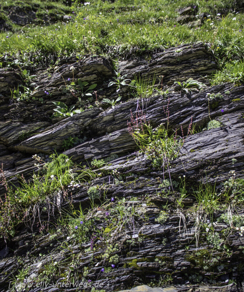 schweiz-heidiland-walensee-_mg_3835_mg_3835-3