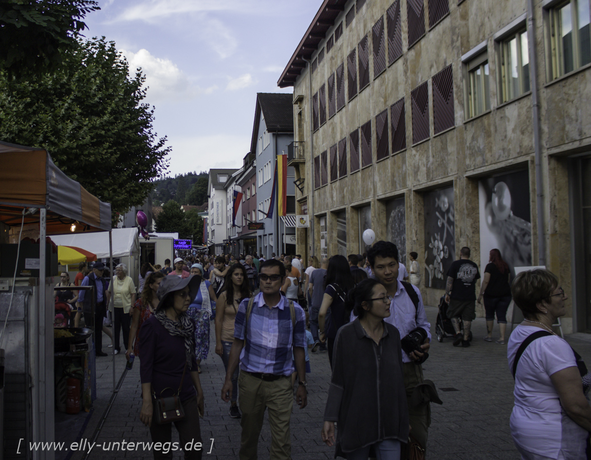 schweiz-heidiland-walensee-_mg_4082_mg_4082-3