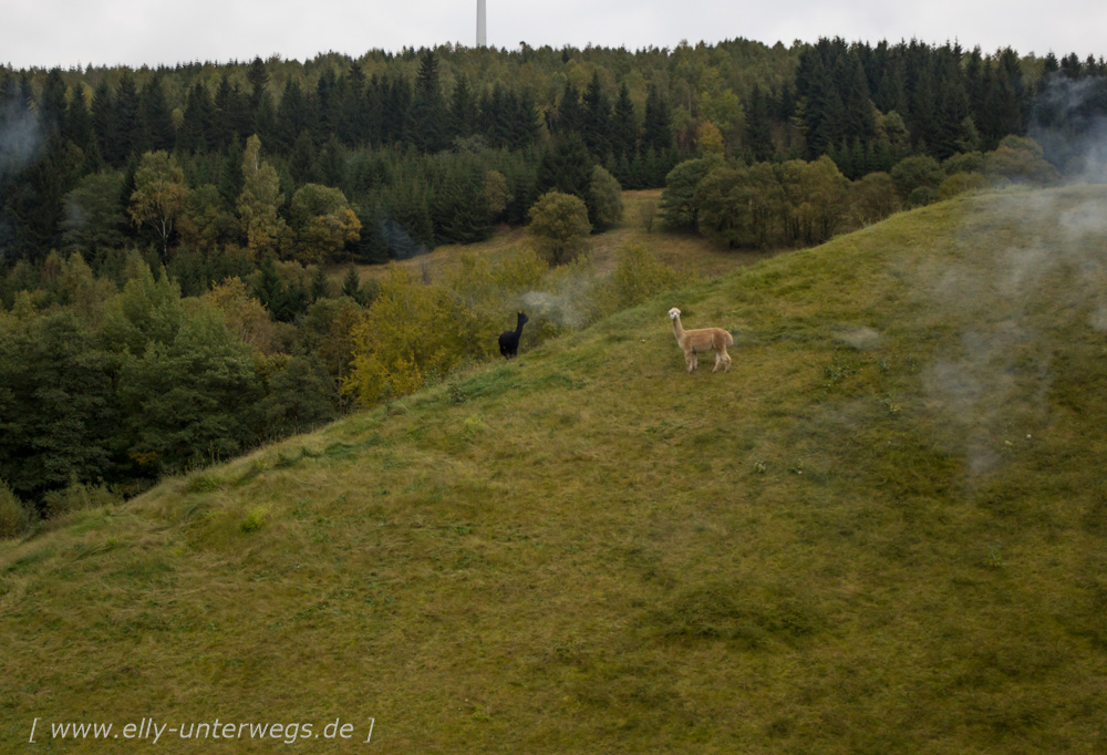 urlaub-erzgebirge-oberwiesenthal-seiffen-dresden-1-158