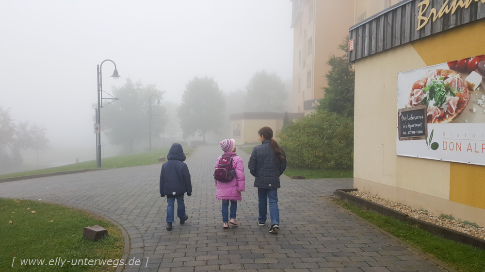 urlaub-erzgebirge-oberwiesenthal-seiffen-dresden-1-175