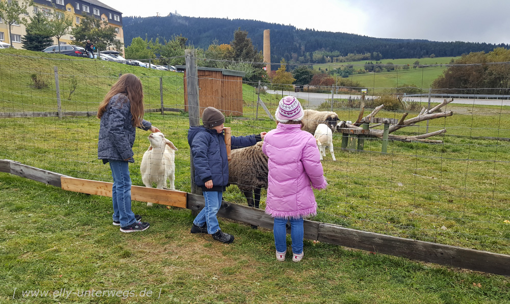 urlaub-erzgebirge-oberwiesenthal-seiffen-dresden-1-63