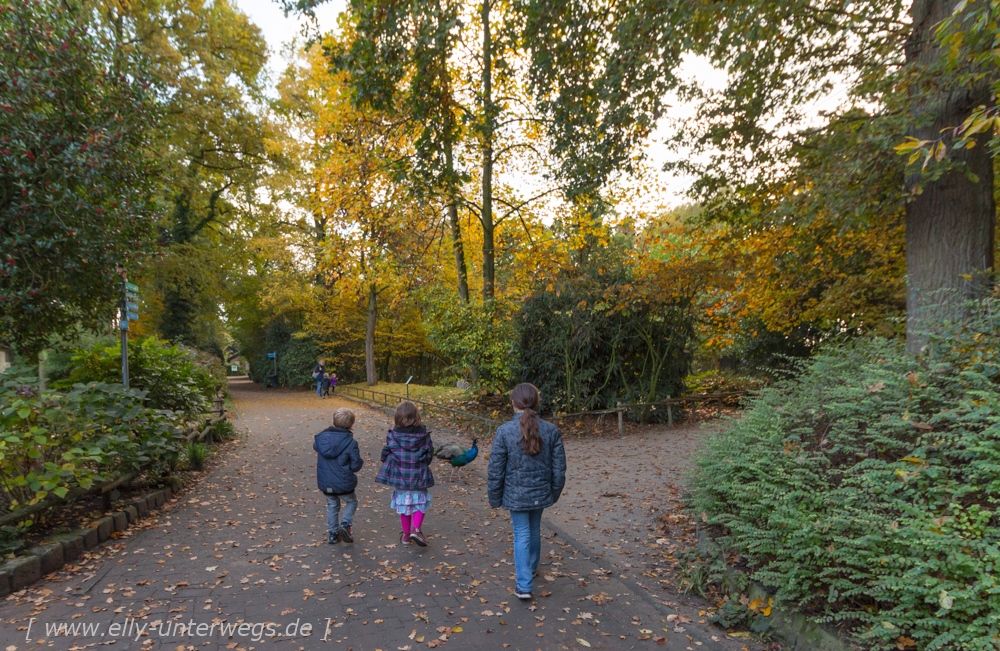 Naturzoo Rheine