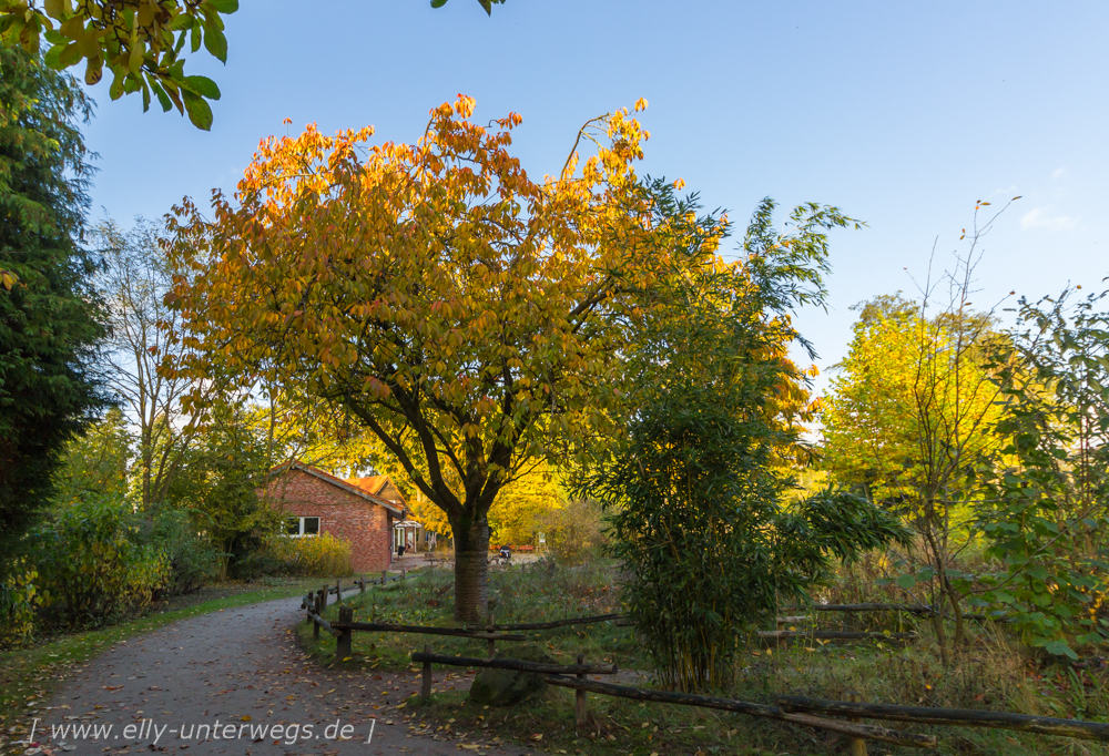 elly-unterwegs-rheine-saline-ems-276