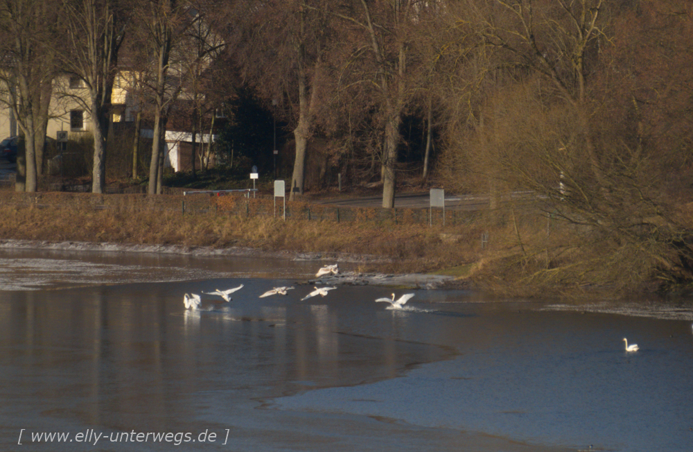 sauerland-winterberg-meschede-winterurlaub-sauerland-winterberg-meschede-winterurlaub-img_3328