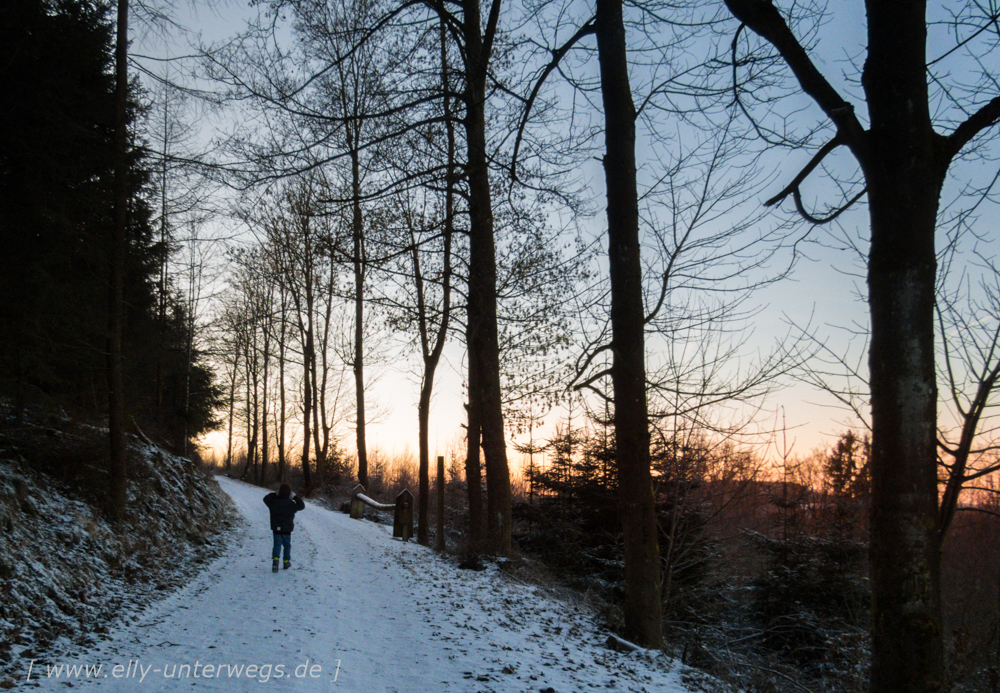 sauerland-winterberg-meschede-winterurlaub-sauerland-winterberg-meschede-winterurlaub-img_3556