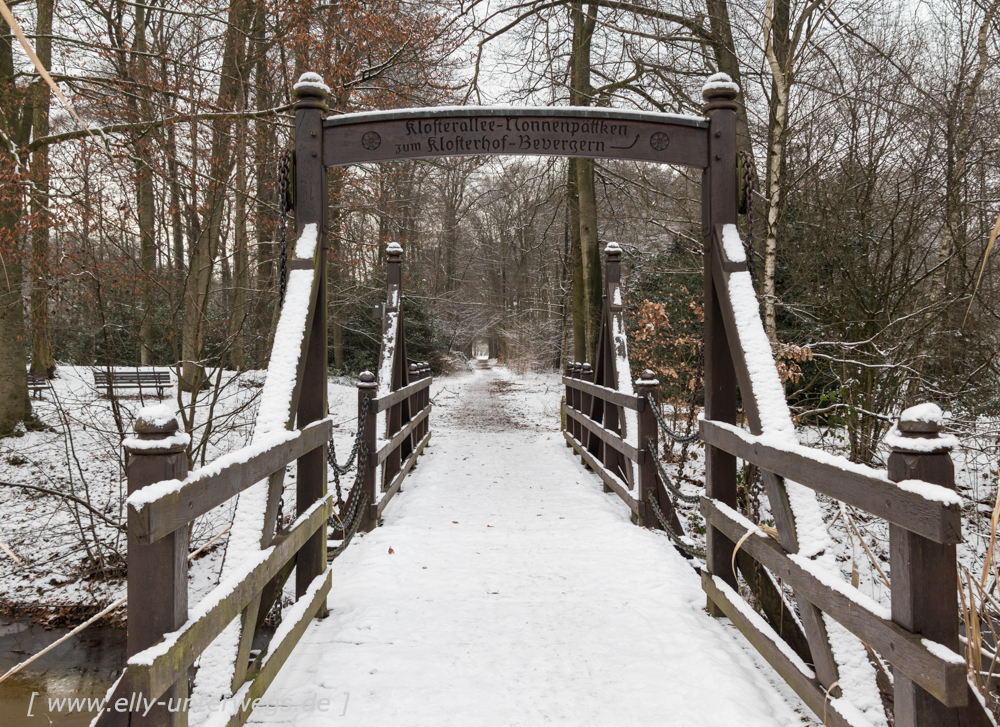 Winter-Muensterland (17 von 25)