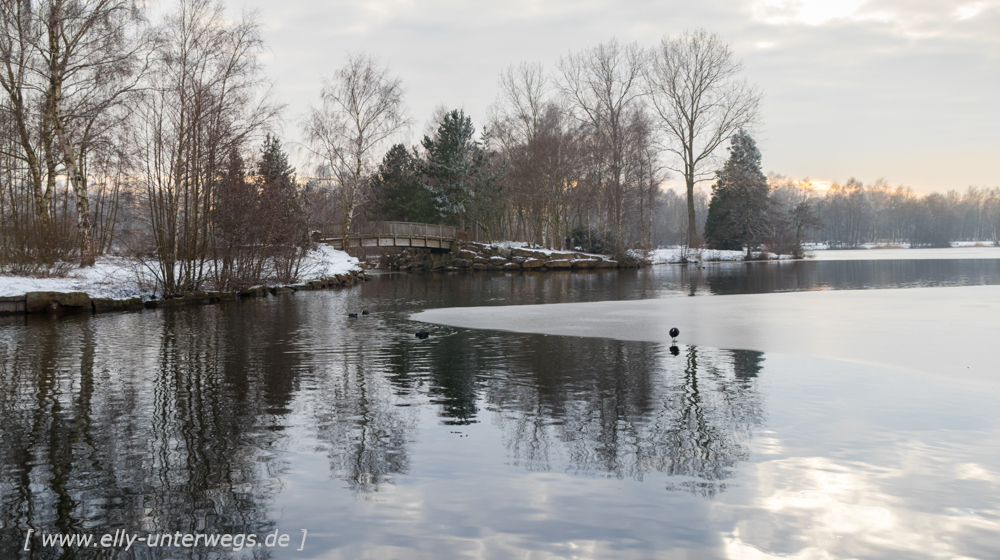 Winter-Muensterland (21 von 25)