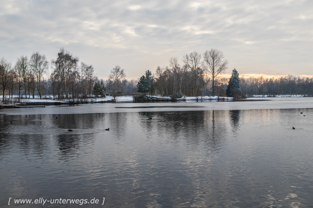 Winter-Muensterland (22 von 25)