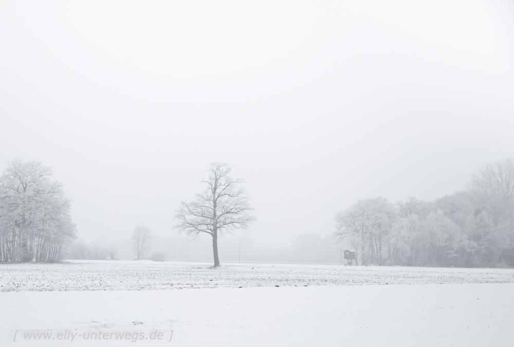 Winter-Muensterland (7 von 25)