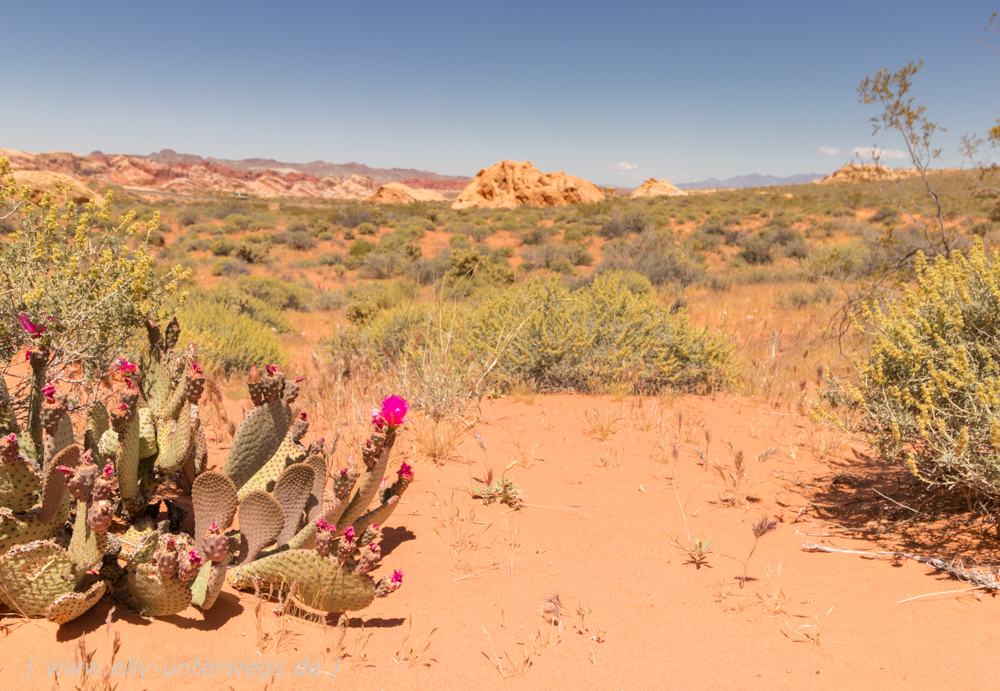 Das Valley of Fire in der Nähe von Las Vegas – oder: Der beste Abenteuerspielplatz der Welt!