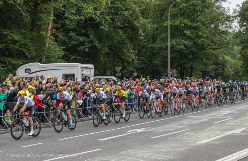 Die Tour de France im Neandertal bei Düsseldorf