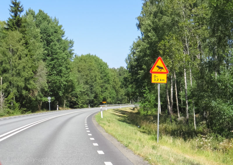 Schweden-001-TTLine-Malmoe-Letzte-Etappe-12-800x565.jpg