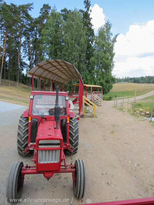 Die Treckerwagen für die Elchsafari im Skullaryd Elchpark