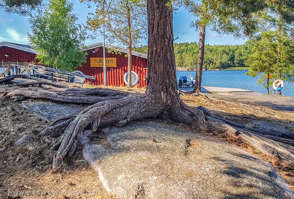 Sommerurlaub-in-Schweden-4966-1.jpg