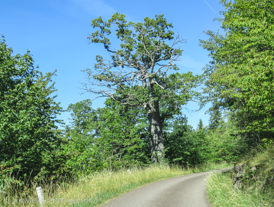 Sommerurlaub-in-Schweden-5594.jpg