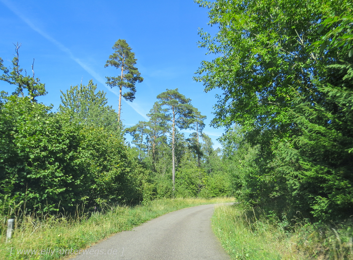 Sommerurlaub-in-Schweden-5670.jpg