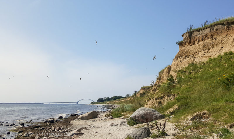 Fehmarn – Die familienfreundliche Insel in der Ostsee