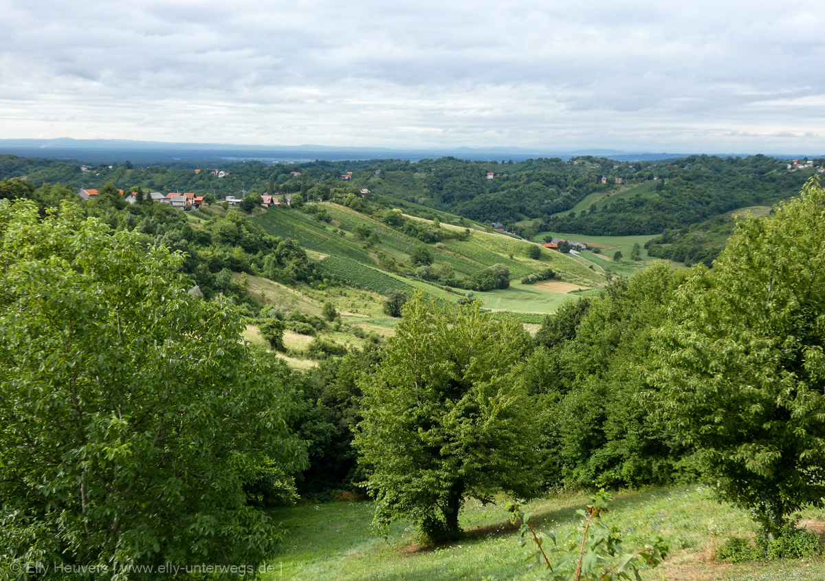 Eine Nacht in den Weinbergen im Norden von Kroatien