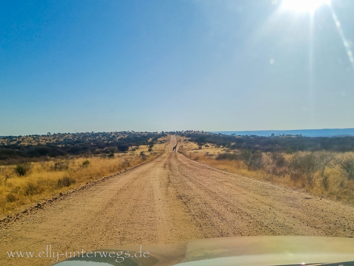 Namibia-Anreise-FRA-Windhoek-72.jpg