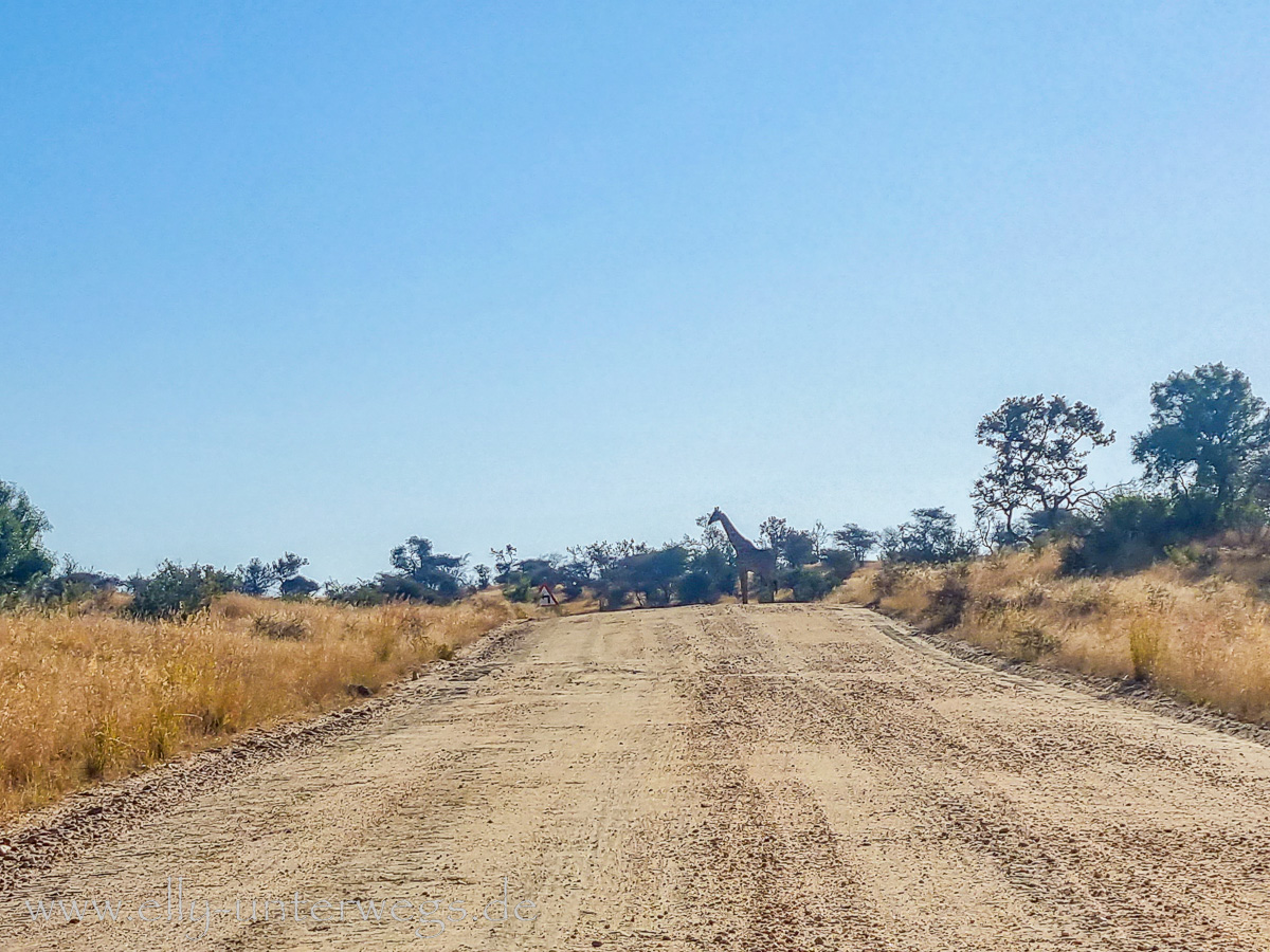 Namibia-Anreise-FRA-Windhoek-74.jpg